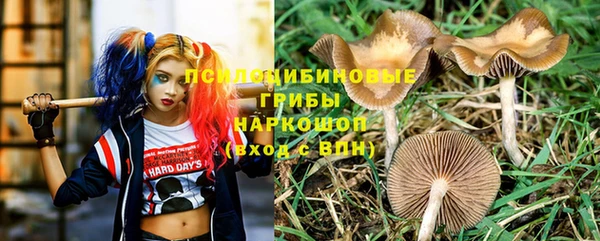 тгк Балахна