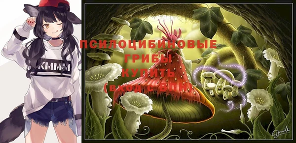 кокс Аркадак