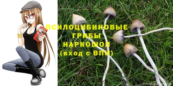 кокс Аркадак