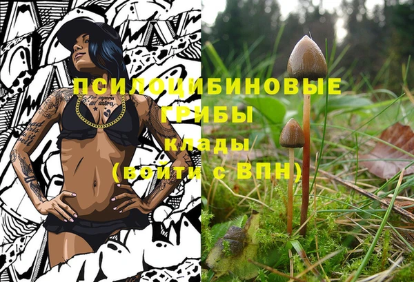 круглые Армянск