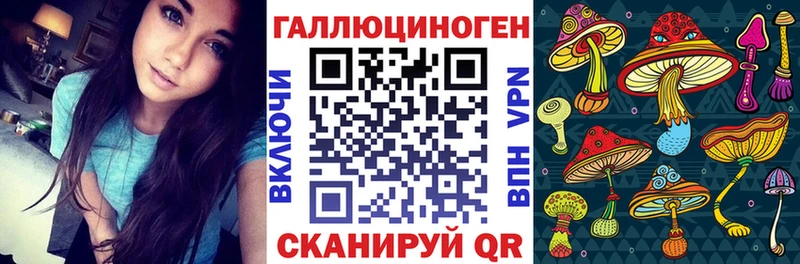 где продают   Прохладный  Галлюциногенные грибы Psilocybe 